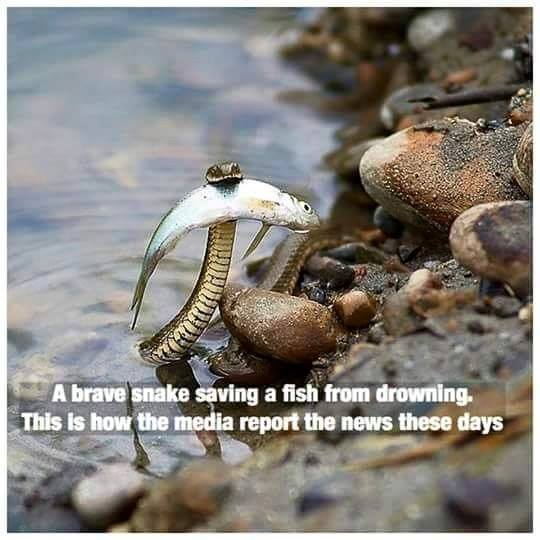 AllIndiaBC's tweet photo. Reality of Indian media #paidmedia #SecularDebate !! LOL https://t.co/MyOwwOqcvj