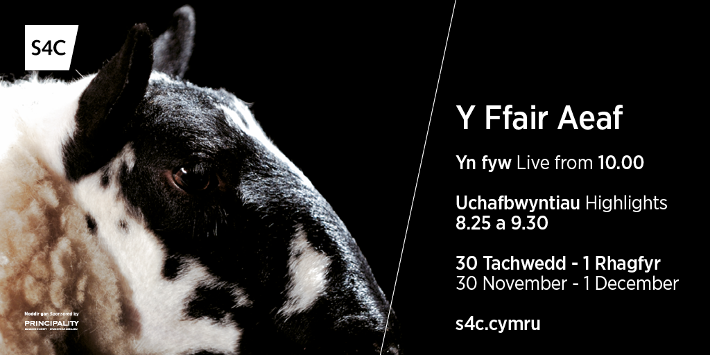 S4C's tweet photo. From cattle to crafts, watch the #WinterFair next week on #S4C and online internationally! @royalwelshshow https://t.co/d9q4IZ2qcZ