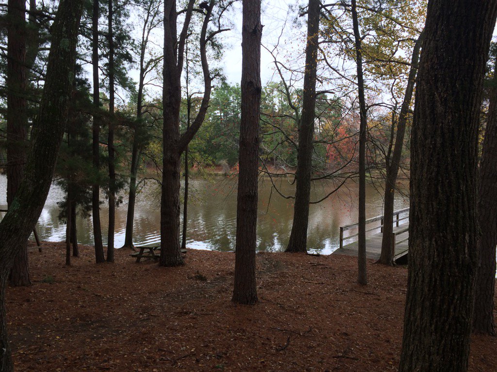 chadlarsh tweet media