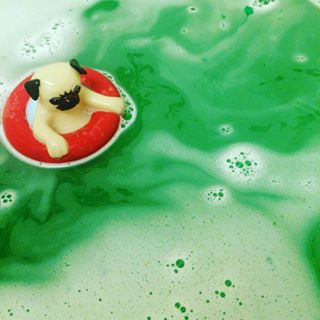 Joy_PhotoCam's tweet photo. Such a cute bath plug 😹 #pug #bathplug #plug #bath #bathbomb #lush #green https://t.co/4AlgTiMcMS https://t.co/ki5PKgmkME