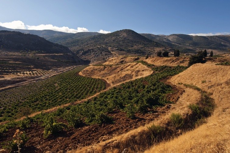 Vins et Vignerons d’ailleurs à découvrir et à partager
blog.tagawine.fr/vins-et-vigner…
#wine #winelover #tagawine