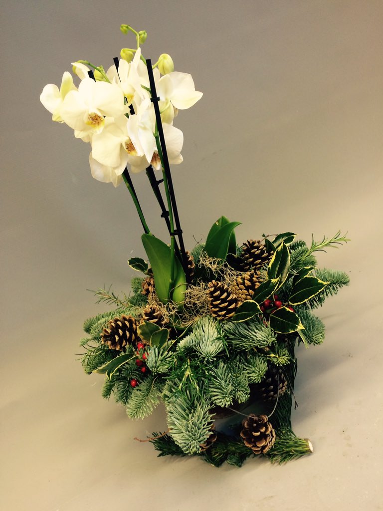 Getting festive :)