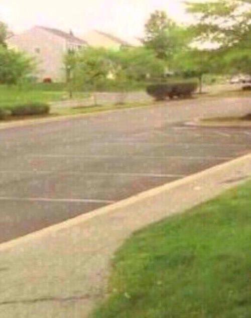 steve: "he is my friend"
tony: "so was I"
thor: