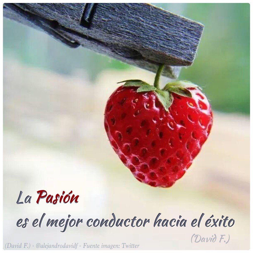 alejandrodavidf's tweet photo. Hoy me subo bien alto para dedicar un merecido #FF a @merceroura @nurialbap @LauraFerrera @AnaHerrero #YoSoyCapaz https://t.co/lAlBOk9GFg