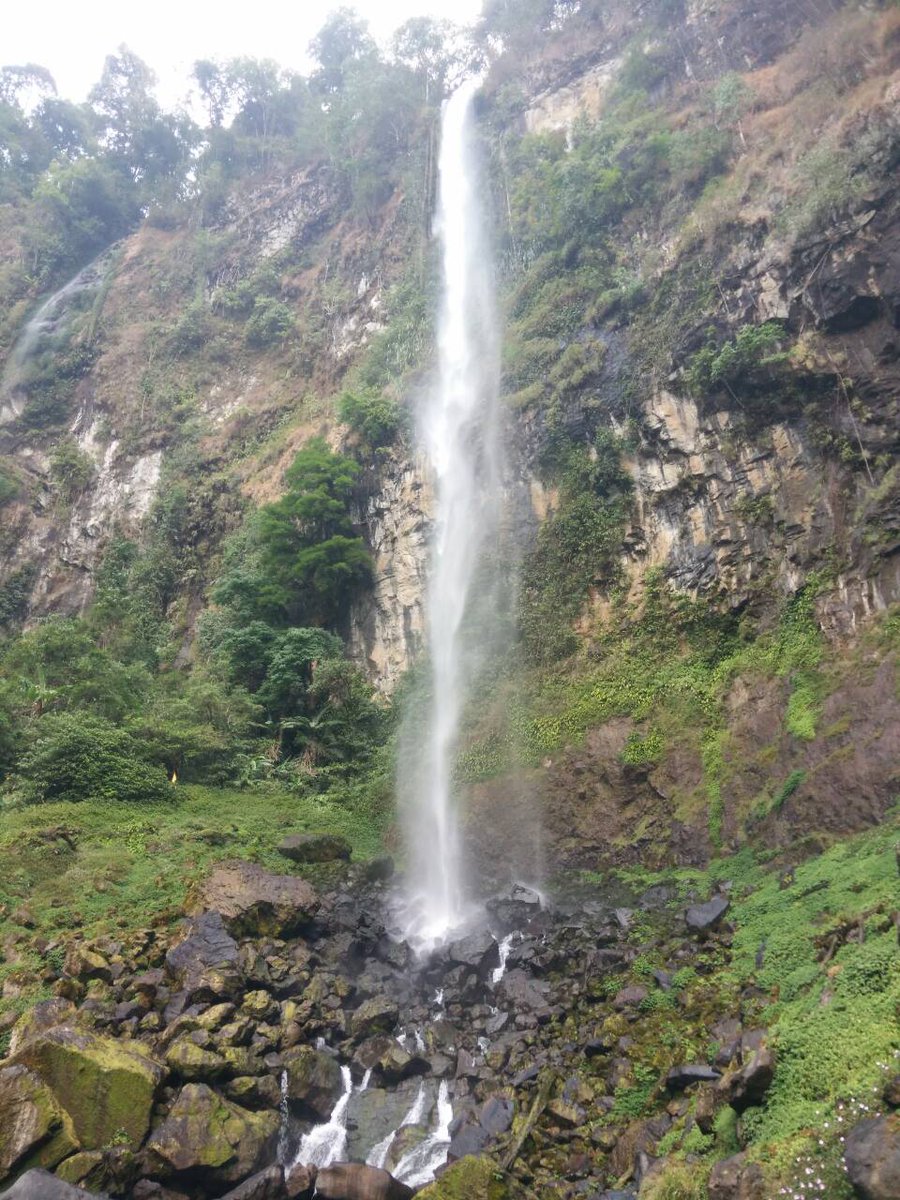 Semut merah expose,cileat subang..<a href="/infopendaki/">infopendaki</a> <a href="/Kedaipendaki/">Kedai Pendaki</a> <a href="/PendakiCantik/">PendakiCantik</a> <a href="/PendakiHijabers/">Hijab Hikers</a> <a href="/jejak_setapak/">Jejak Setapak</a> @MDPL_ID