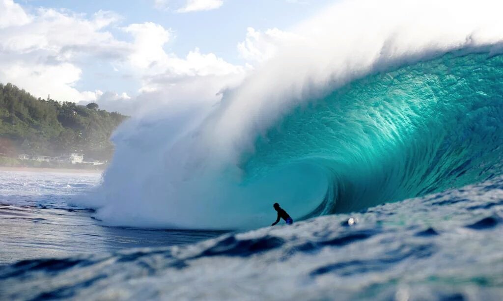 surf_and_sun's tweet photo. 🌴🔆😍#OpenSurf https://t.co/ZR7avrYsPG