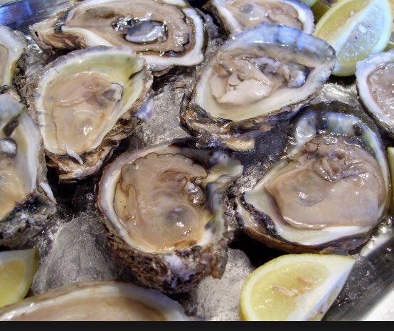 bludogspfld's tweet photo. Tonight at Indigo: Fresh Blue points. raw on half shell,  or on Kings Hawaiian bread with kimchi and peanuts. See y https://t.co/j7eqkrMulA