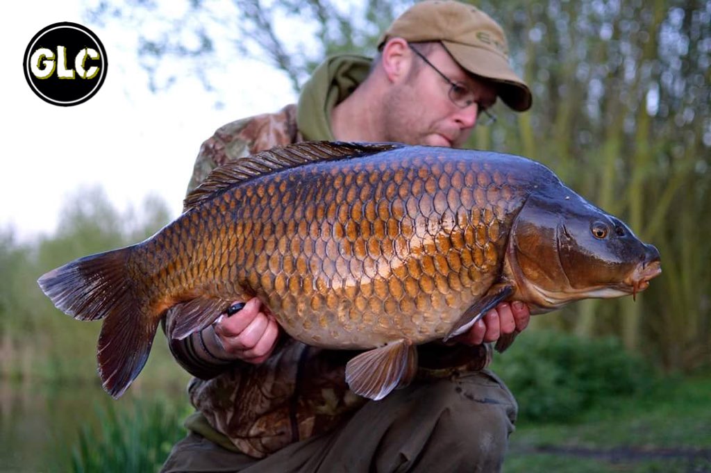 GoodLookingCarp's tweet photo. Daz Clarke With a lovely common known as "The Outline". One of the 'A' team from North Lincolnshire #glc https://t.co/mXSMmYMcMS