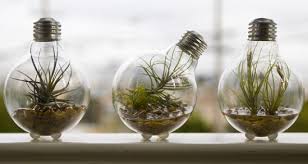 lightbulbedison's tweet photo. see i can even be used in creative crafts! #HSBTECH #reusable https://t.co/tquMDKHpCz