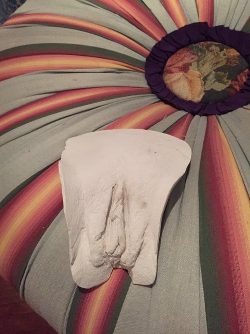 Persias pussy mold is for sale! Email for details https://t.co/OIktOknN5q