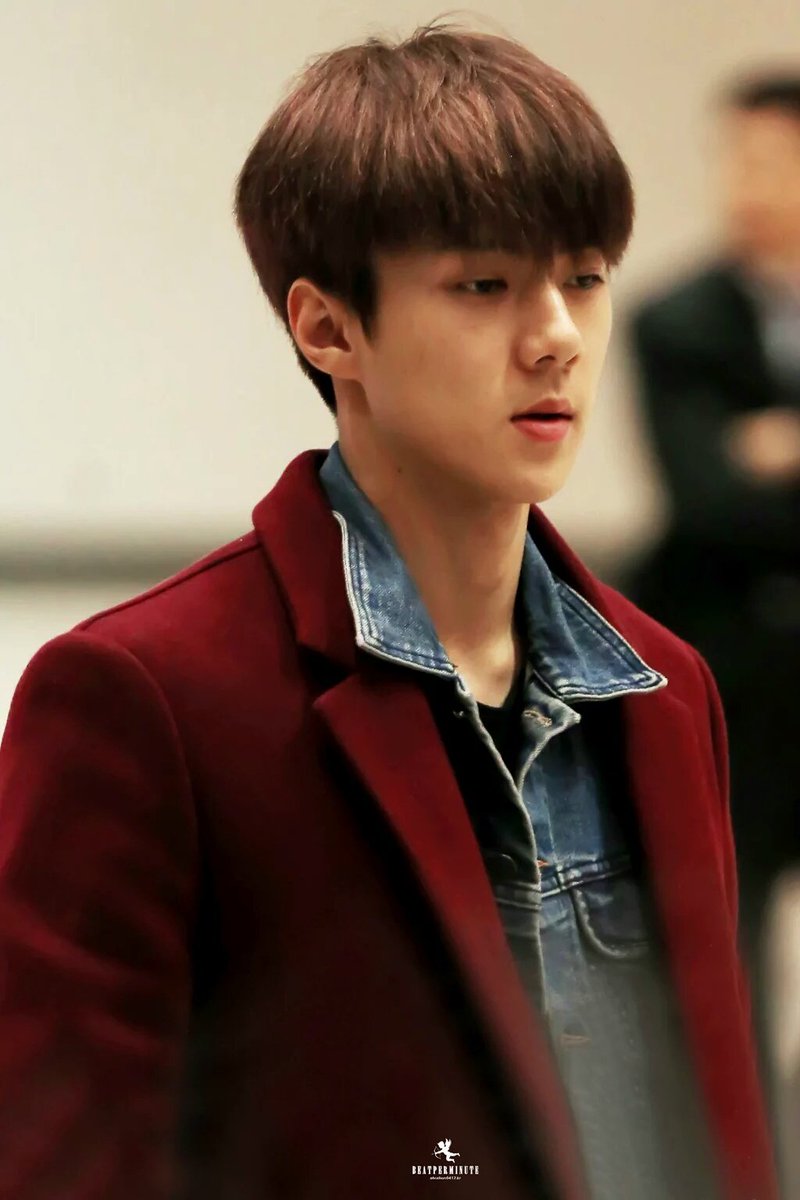 SEKAIYEOLTEAM's tweet photo. [DL] 151112 SEHUN cr.BEAT PER MINUTE_5P
LINK >> https://t.co/90krazOWac 
V.knockknock0408 https://t.co/DSKTMiP19n