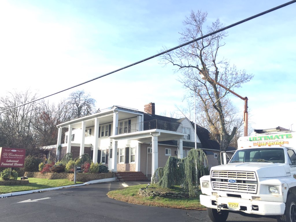 Taking down historic maple (circa 1896) at "DiCostanzo Funeral Home" (Formerly Lakewood Funeral Home) in Howell, NJ.