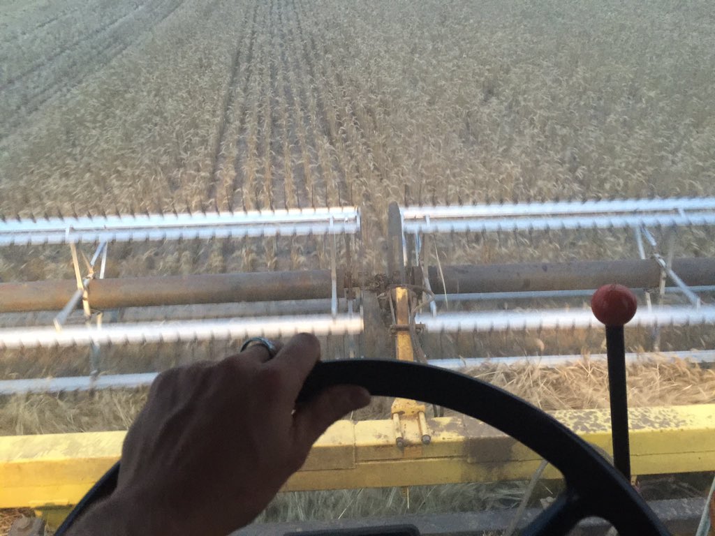 OllieAgventure's tweet photo. Getting a short play on the header. Back to old school #JD9600 #goingstrong #cropnotsostrong https://t.co/CW6I7ithBi