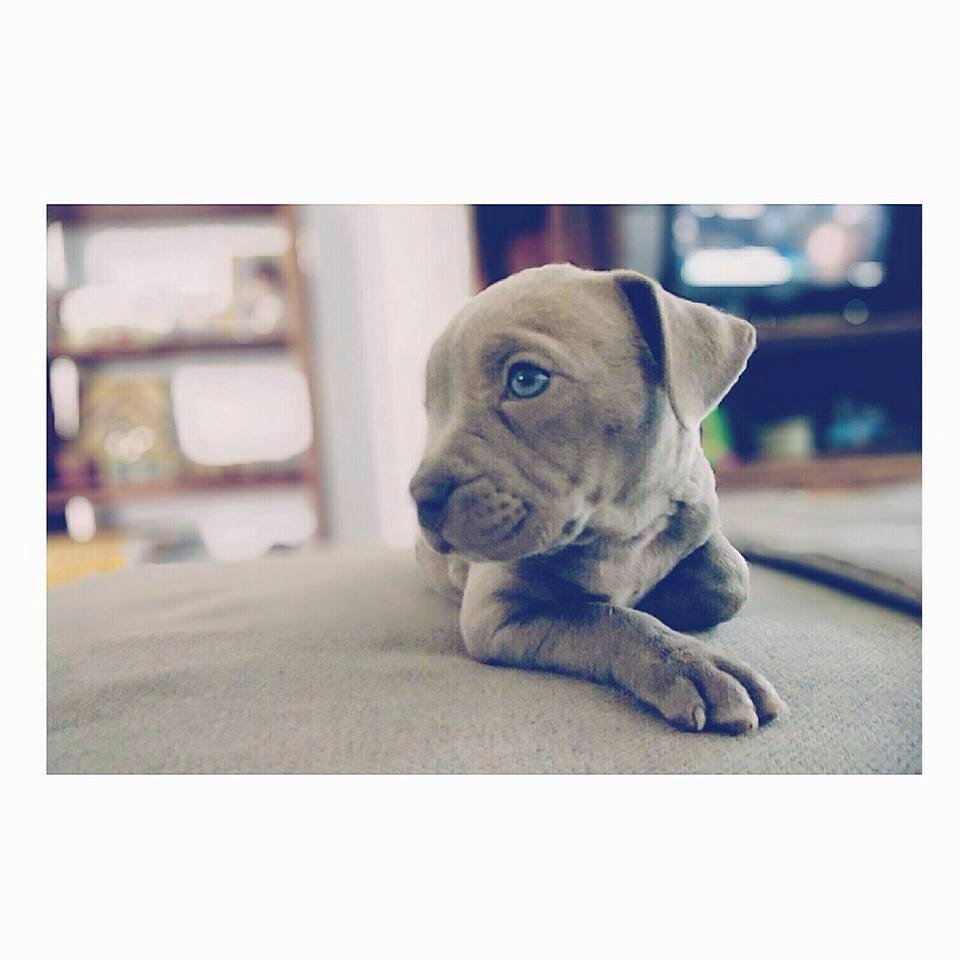 Samira Ventura 💕 (@samverachinea) on Twitter photo 