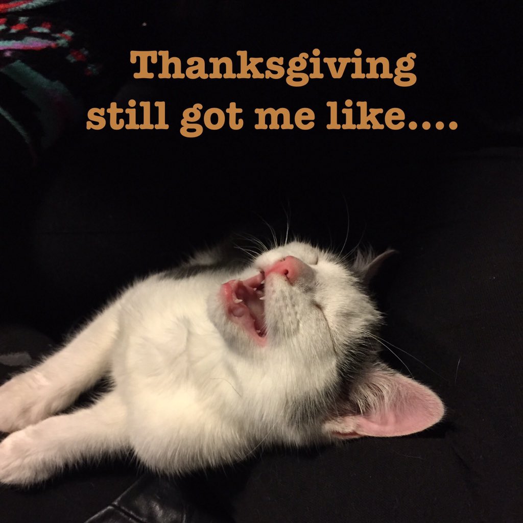 crampthestupid's tweet photo. #BlackFriday hangover from #Thanksgiving. #pussy https://t.co/Nl6435HjPB