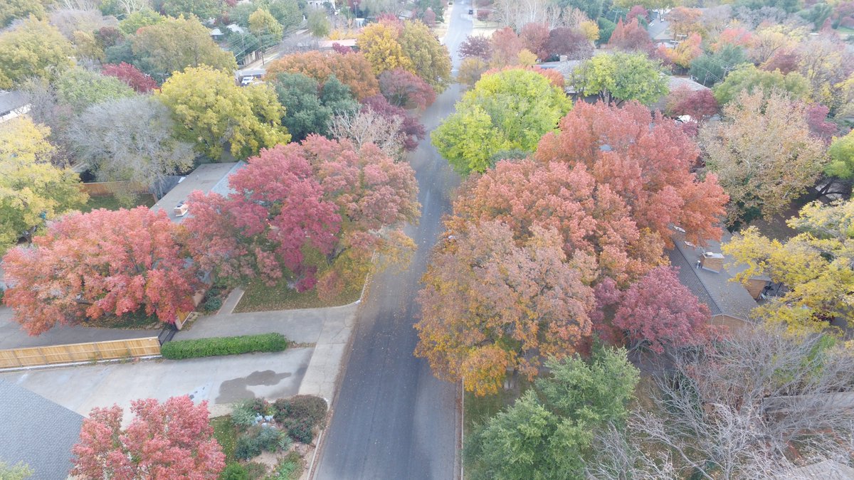 MyDroneranger's tweet photo. View from the drone is always cool. Lubbock, TX.
#fallleavesarepretty #seasonschange #fallcolors https://t.co/vc2uFsdPXO