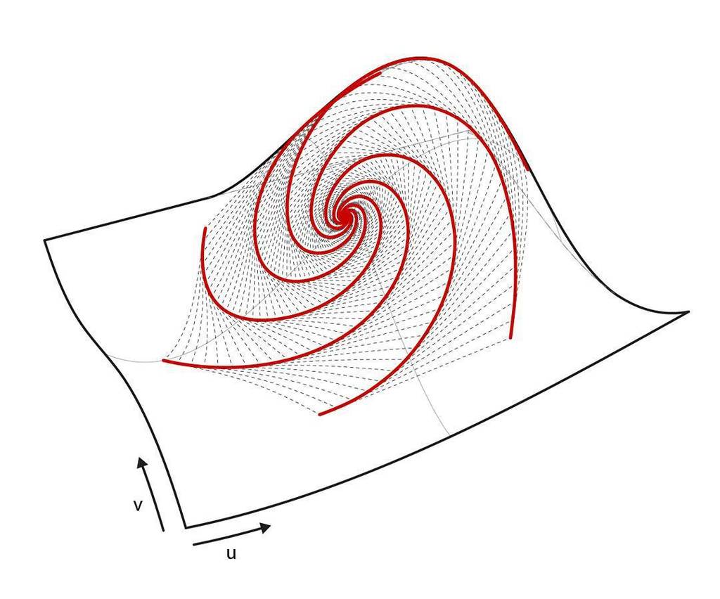 _aLinG_'s tweet photo. Reciprocal chasing curves on #NURBS "plane" using geodesic curves. #forma15 https://t.co/feJBfLDHUd https://t.co/FpKNx5GABj