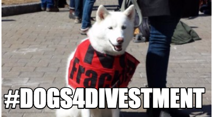 DivestDal's tweet photo. looking forward to the #climatemarch this sunday!! lets get #DOGS4DIVESTMENT trending #halifax https://t.co/DEONXYebtA