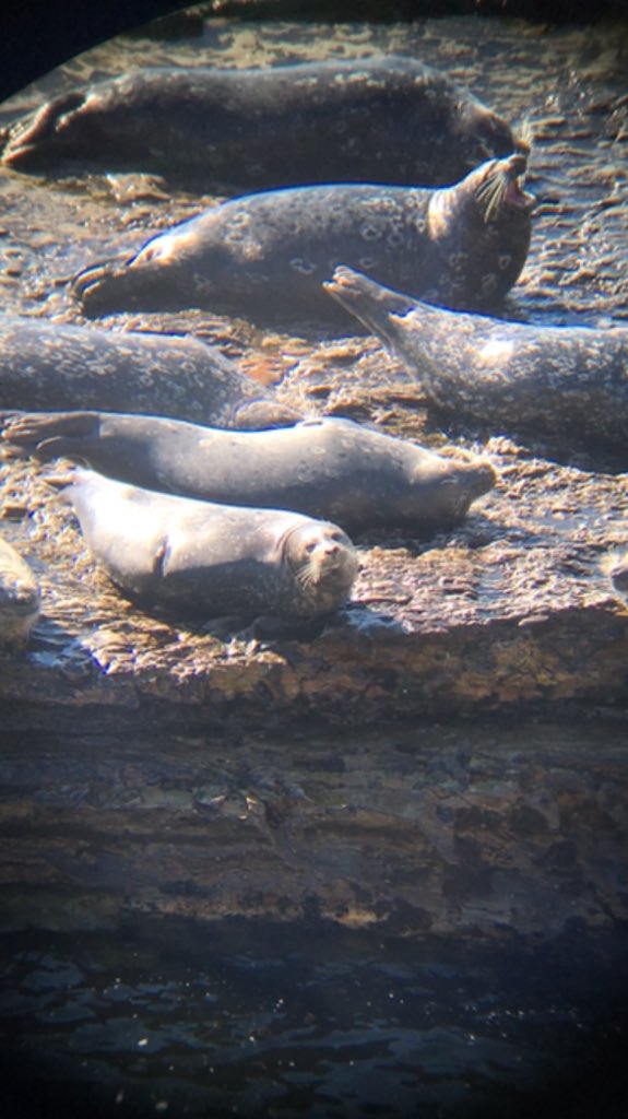 jamesdevito's tweet image. #squadgoals