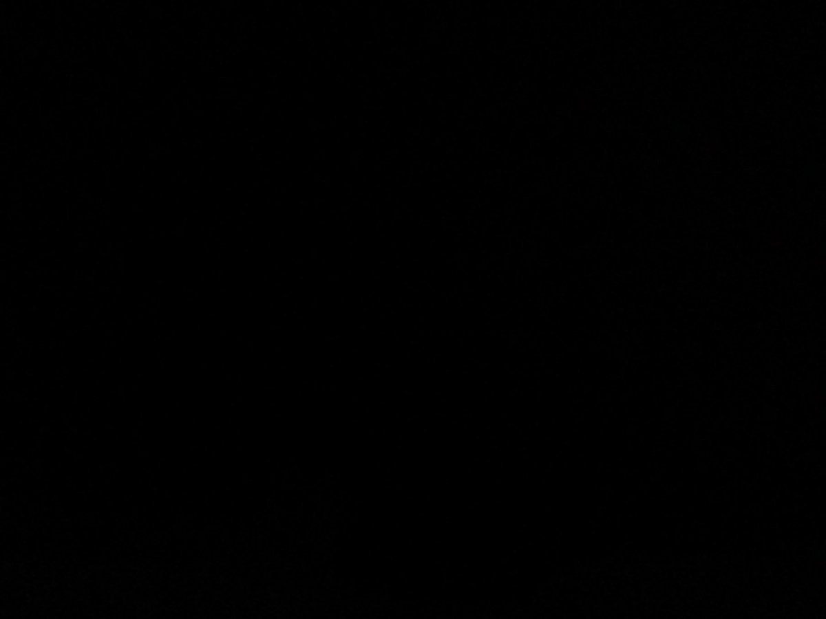 aldub forever paris tweet media