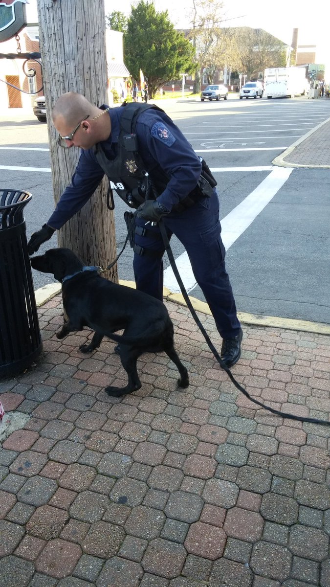 firstsheriff's tweet photo. #SMCSO K-9 unit performs a security check in preparation for the Christmas Tree lighting at the square. #maxdeploy https://t.co/MfbJje8FrE