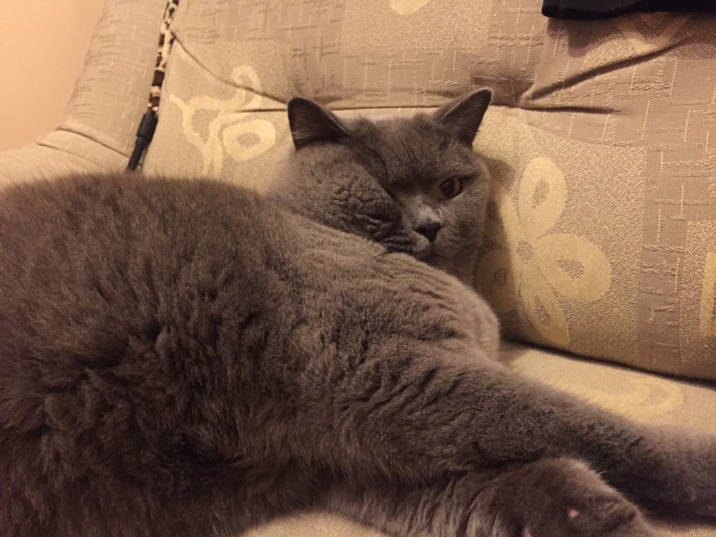 magda_siwik's tweet image. #PanKot