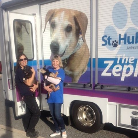 sthubertsanimal's tweet image. Did you see #TheZephyr today? We were in Cumberland County to transport cats &amp;amp; dogs up north to our Madison shelter!