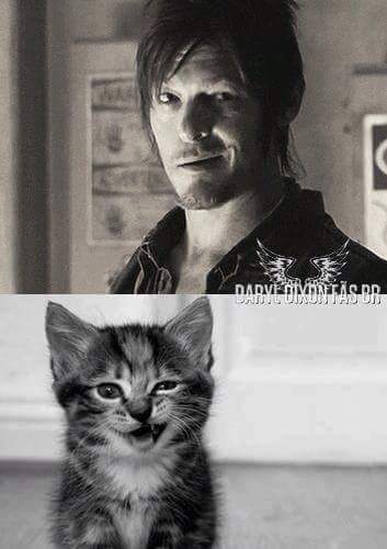 JessiBlue82's tweet photo. Soooo tired... good Night my sweeties #TWDFamily #twd sweet dreams, until tomorrow ❤❤ https://t.co/z0QVZ3hjSV