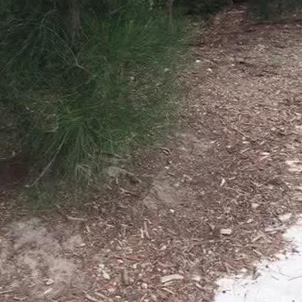 DeniseLitch's tweet photo. |REPLAY| Psychic Q and A Saturday begins in five minutes- get your ques... #katch #Periscope https://t.co/wlAcfBsATv https://t.co/2rG4CLBh2f