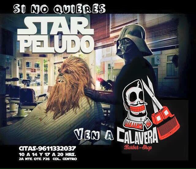 Cindy A. Dammann tweet media