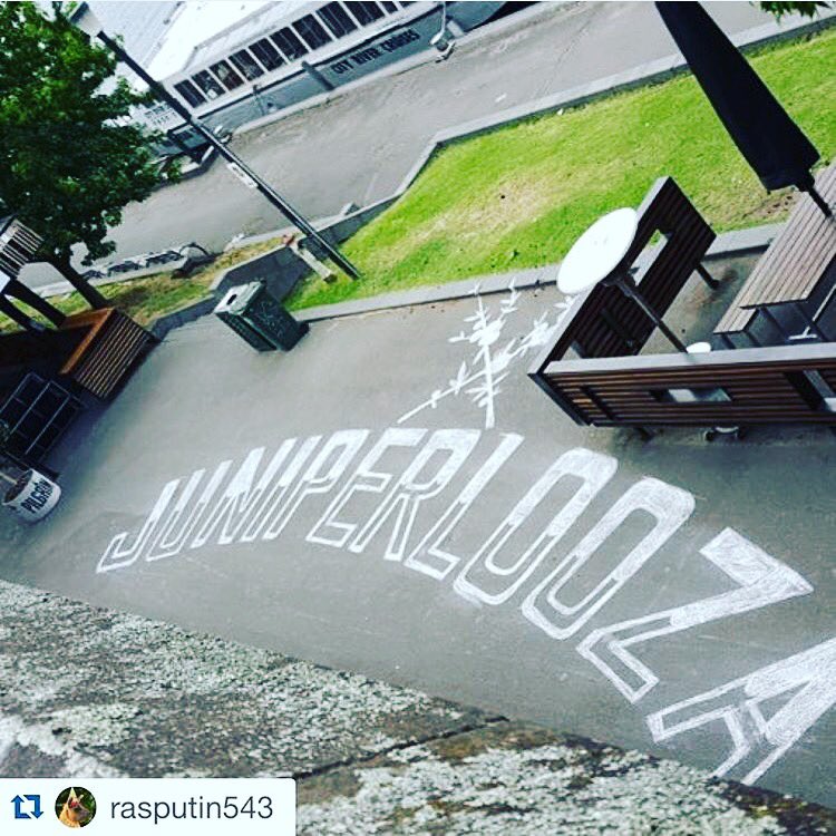 BassAndFlinders's tweet photo. No more sleeps! Head down to Federation Wharf this weekend for Melbourne's first Gin Festival @juniperlooza !! 🍸🍸🍸 https://t.co/TgaMz2Xdzg