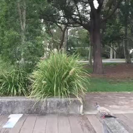 DeniseLitch's tweet photo. |REPLAY| Psychic Q &amp;A Saturday now! Bring your curiosity #katch #Periscope https://t.co/W9hCAloDcl https://t.co/B6pujrqyAo