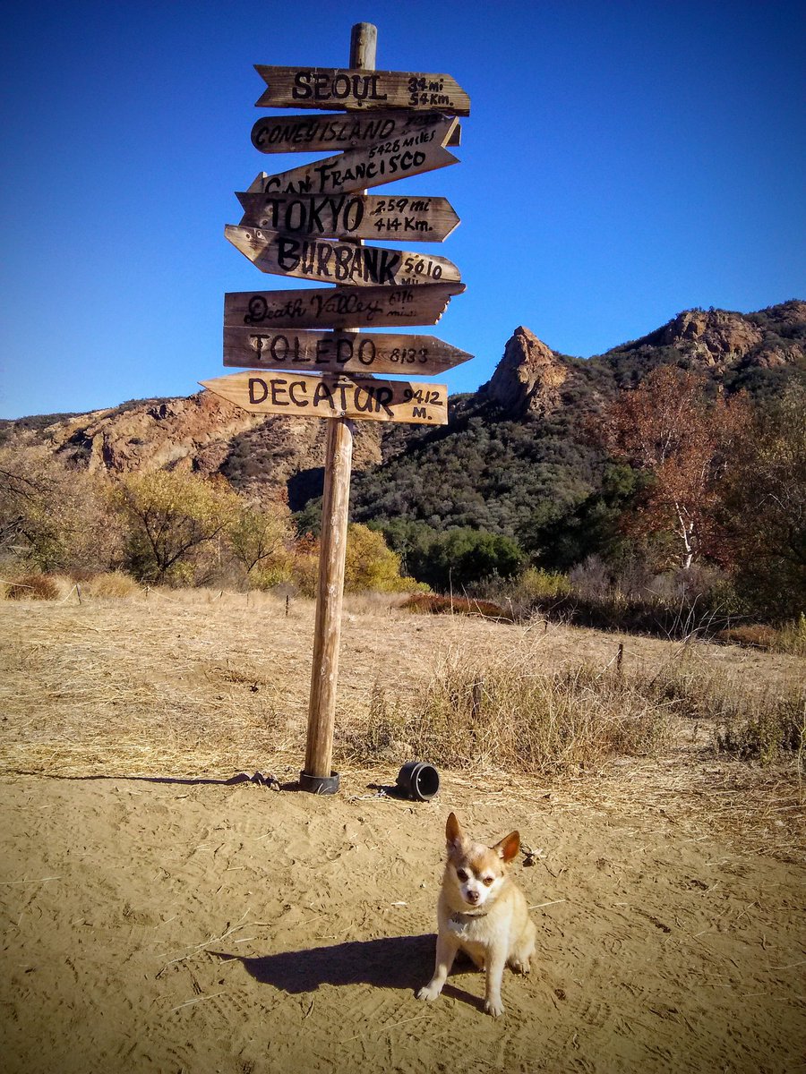 Pawsworth's tweet photo. I don't need directions, I follow my nose to the deals. And by deals, i mean fresh dumps. #BlackFriday #OptOutside https://t.co/7feRIuwfP9