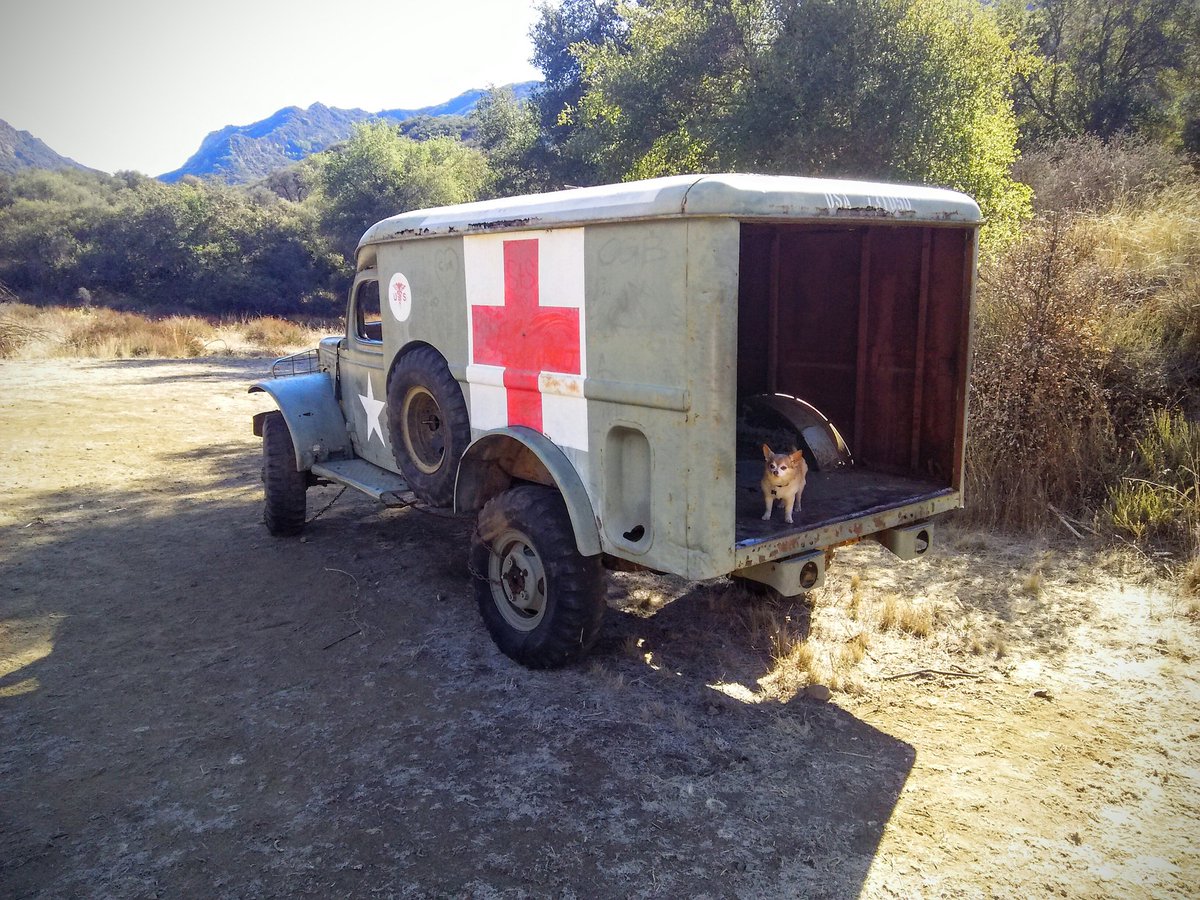 Pawsworth's tweet photo. Yeah, I'm considered "precious cargo." Get me to Hotlips, pronto! #MASHsite https://t.co/1nNfviUrUR