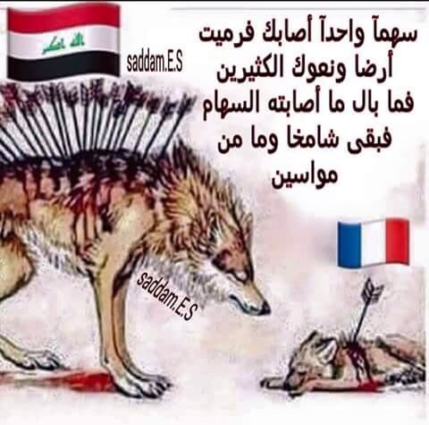 Mounir Oulji (@mouniroulji) on Twitter photo 