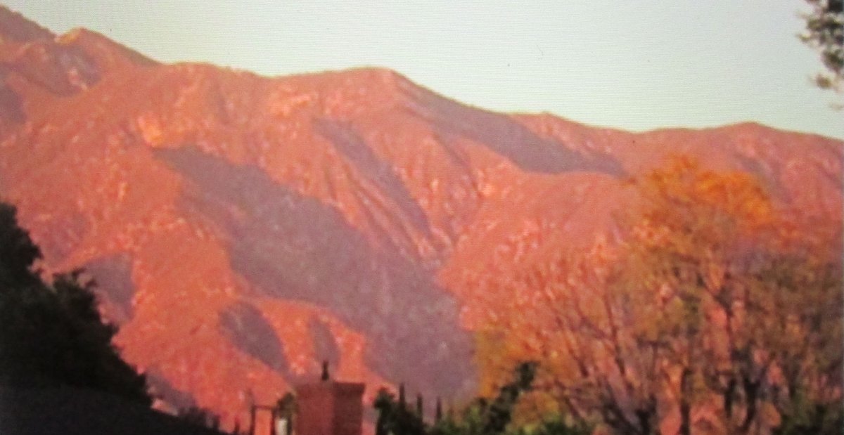 Capturing the light at sunset. paristopasadenablog.com/2015/11/27/pai…