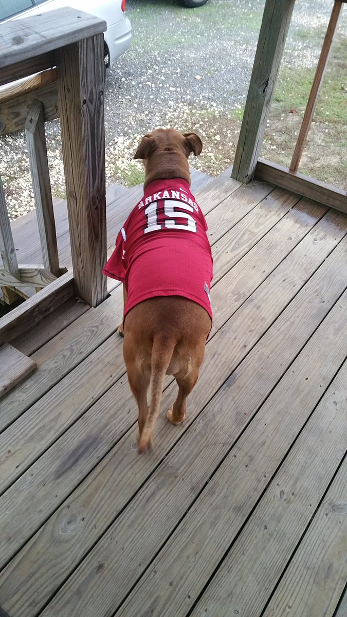 camogirl84's tweet photo. #PistolAnnie #Pitbull #battlelinetrophy #beatMizzu @ArkRazorbacks https://t.co/vACzTgPr9a