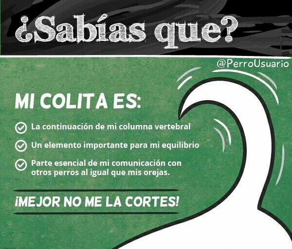 PerroUsuario's tweet image. #SabíasQué con ella expreso mi alegría y amor por ti…🐕