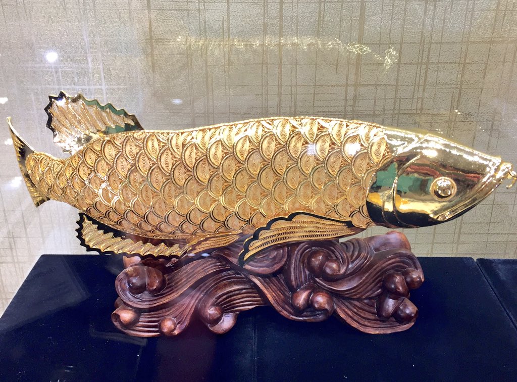 shelleyhayashi's tweet photo. What a beautiful golden carp swimming in the showcase at @lfxjewelry_ca @albernistreet #AlberniSt #giftideas https://t.co/YTvpdCW2tB
