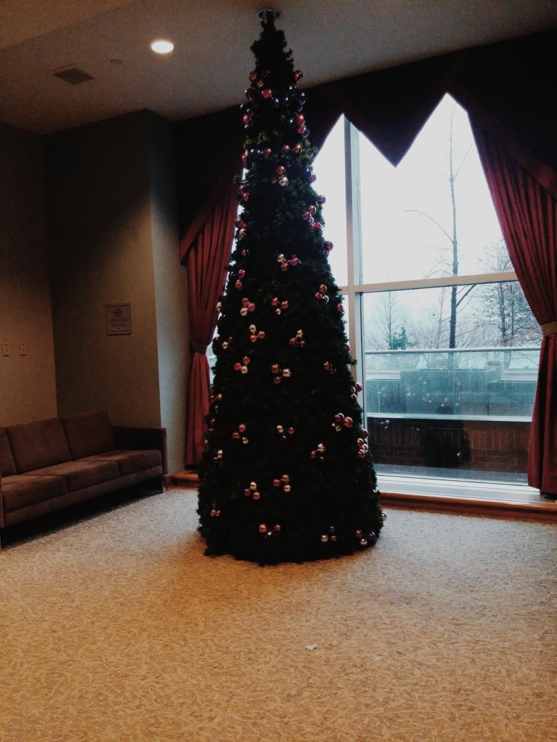 529Adv's tweet photo. Getting into the #Christmas spirit here at #stclaircollege 🎄🎅❄ #christmastree https://t.co/sOPCjY3Ooe