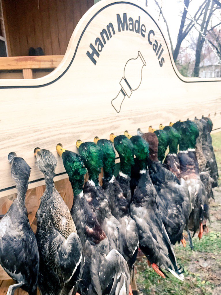 J_S_Daugherty's tweet photo. #mallards are here. @Hann_Made_Calls #moducks #momallards #missouri #ducks #duckslivesmatter #duckcall https://t.co/oOhOiYKRQe