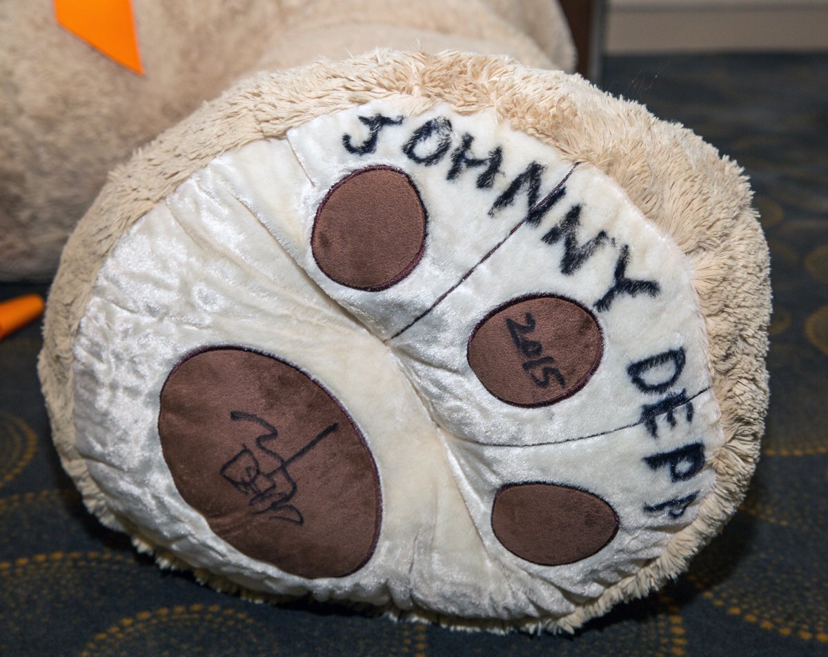 GOSHCharity's tweet photo. From Tues bid on @TheGNShow #JohnnyDepp #Cumberbatch signed bear, in @Independent @standardnews #GivetoGOSH auction https://t.co/uhjvgHjPTP