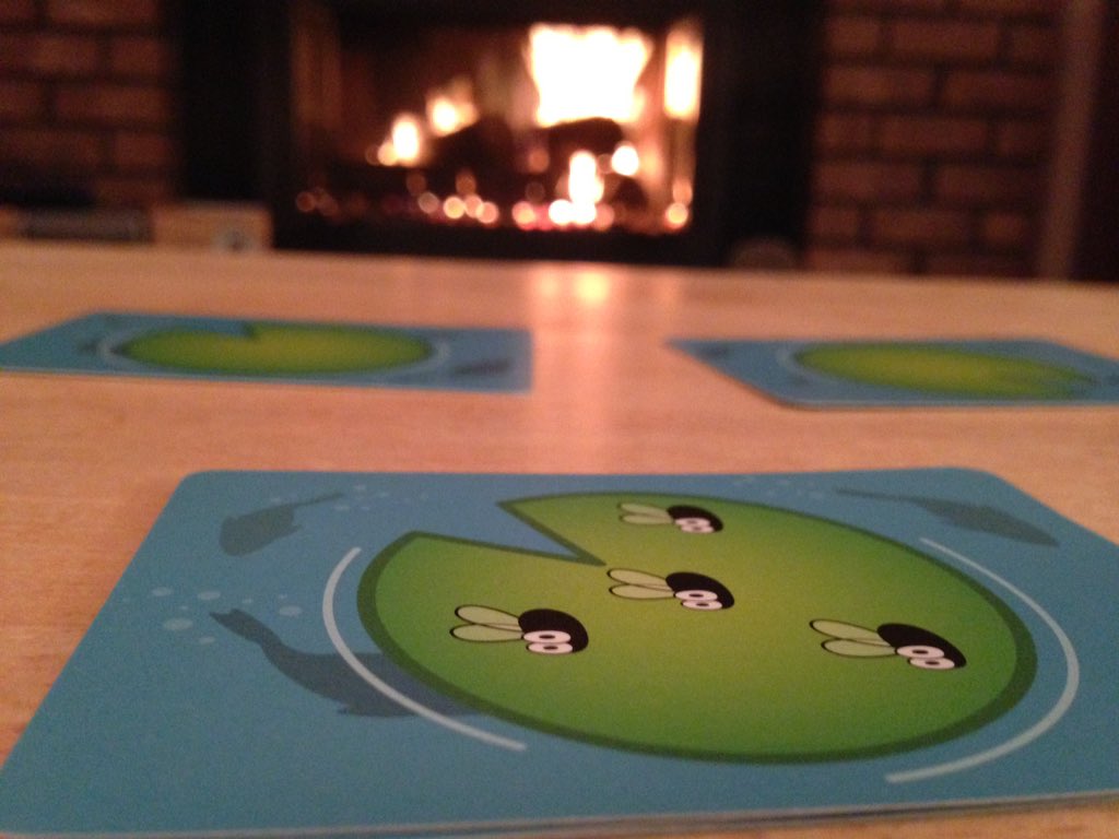 Boe_1814's tweet photo. Playing some #FrogFlip with family by the fire! @jasonkotarski  @SprocketGames https://t.co/uZ9ujMkDdZ