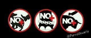 ¡¡No podemos ni debemos ser cómplices!!  #RegalaUnRT si estás contra el maltrato animal