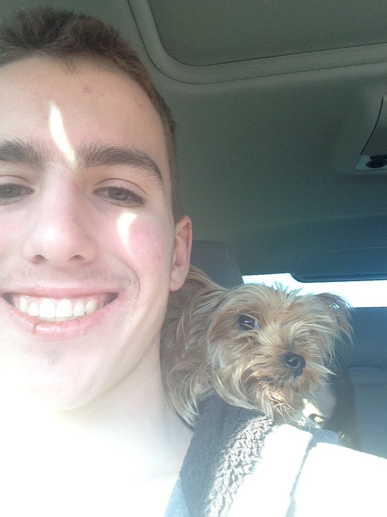 My little parrot of a dog always climbs onto my shoulders during a long car trip!