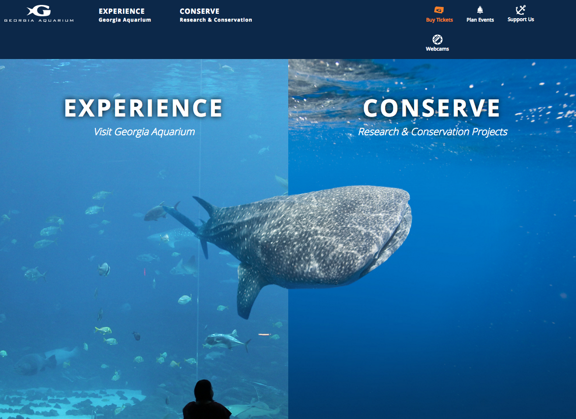 ট ইট র 長嶋祐成 モントレー湾水族館に比べると少し グローバル英語 度で劣るけど ジョージア水族館のはトップページの意思表示の明瞭さが際立ってる われわれがやるのは来館者に素晴らしい体験をさせることと 調査 保護の２側面なのだと T Co