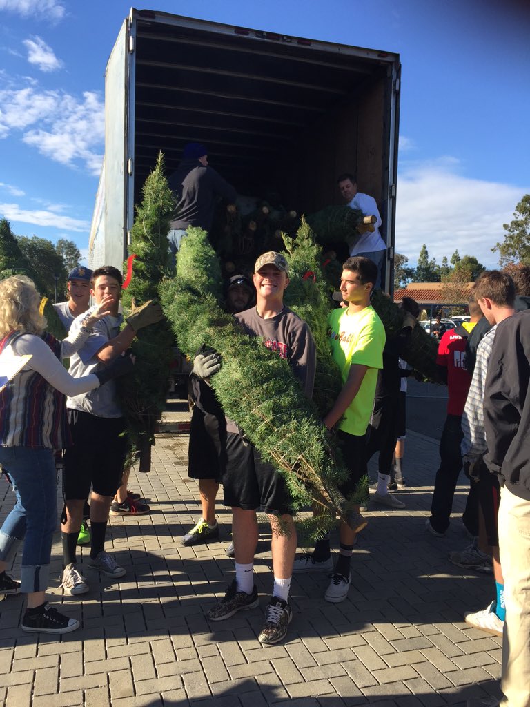 NpBase's tweet photo. The Christmas trees have arrived!! We are open at 9:00 AM tomorrow, come and buy your tree from the baseball team! https://t.co/x3esYK5HEa