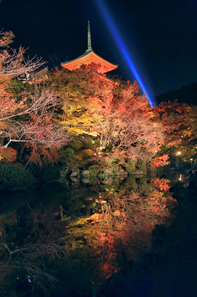 新 富士山景 神気 Shinki 橋向 真 En Twitter おはようございます 遅くなりましたが 昨日の清水寺 から 夕暮れの刻 そして夜のライトアップ 人の多さでかなりしんどかったのですが 十分満足出来る撮影が楽しめました 京都 清水寺 ライトアップ T