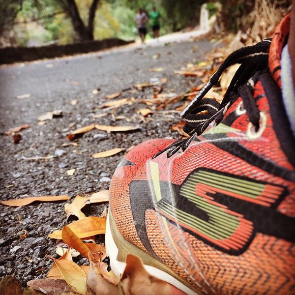 ESPNmx's tweet photo. Esfuérzate con #Skechers para superarte a ti mismo, no a los demás. #GOrunRide4 Síguenos: https://t.co/Qf25QHJe0M https://t.co/kcmWYouniL