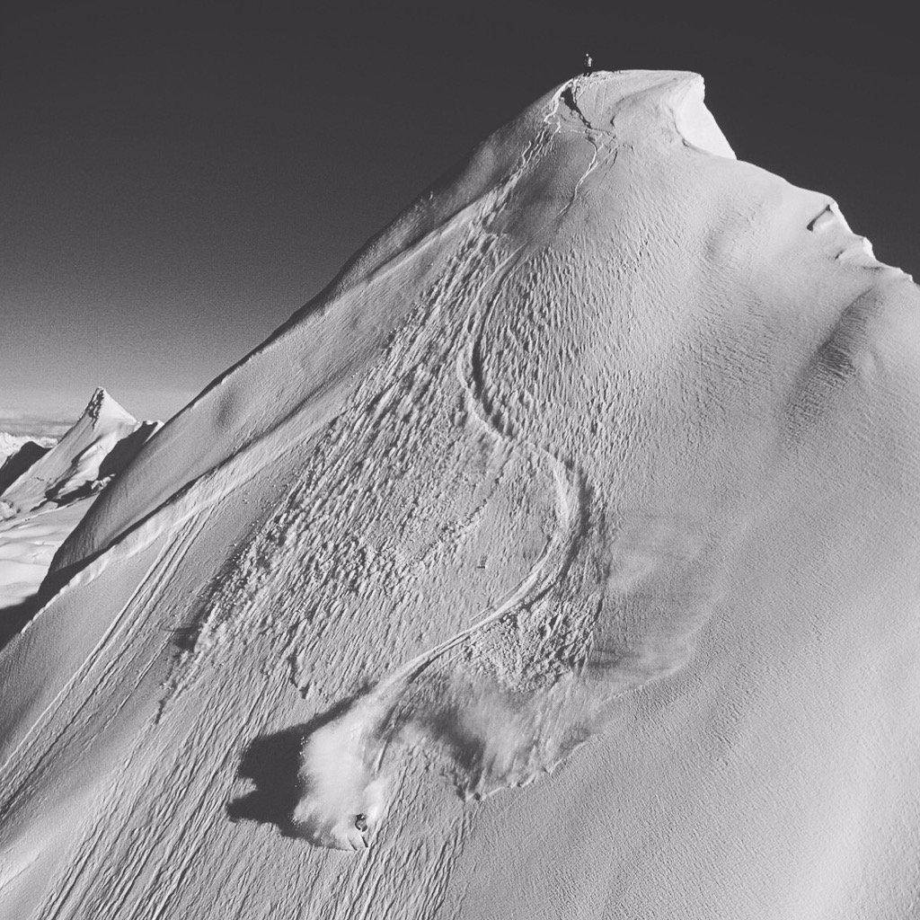 Will Wissman tweet media